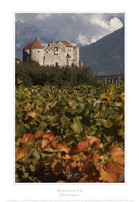 Alto Adige - AGRfoto_2_0642 - Alto Adige, Italy