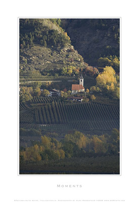 AGRfoto_2_3526 - Alto Adige, Italy