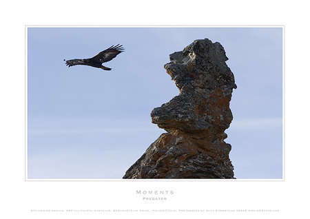 Predator - AGRfoto_2_5080 - Rock face and golden eagle in the alpine area of Val Martello (Martelltal) in the autonomous region, of South Tyrol, Alto Adige (IT) or Südtirol (DE) is in north Italy, the Italian Alps.  This photograph by Alex Rowbotham is also included in the Moments Postcard Box Set