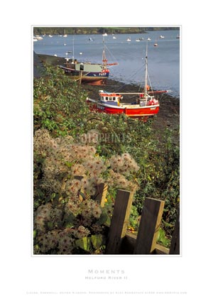 AGRfoto_PCD_91 - Helford River II - photographic print by Alex Rowbotham.  The Helford River is a flooded river valley located in Cornwall, United Kingdom and is not a true river. It is fed by a number of small streams into its numerous creeks. There are seven creeks on the Helford, these are Ponsontuel Creek, Mawgan Creek, Polpenwith Creek, Polwheveral Creek, Frenchman's Creek, Port Navas Creek, and Gillan Creek, the best known of which is Frenchman's Creek, made famous by Daphne du Maurier in her novel of the same name. A little further up river is Tremayne Quay, built for a visit by Queen Victoria in the 1840s which she then declined to make, allegedly because it was raining!