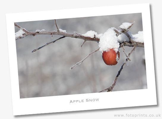 Apple Snow